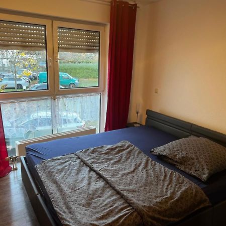 Ziebigk Appartement Deluxe デッサウ エクステリア 写真
