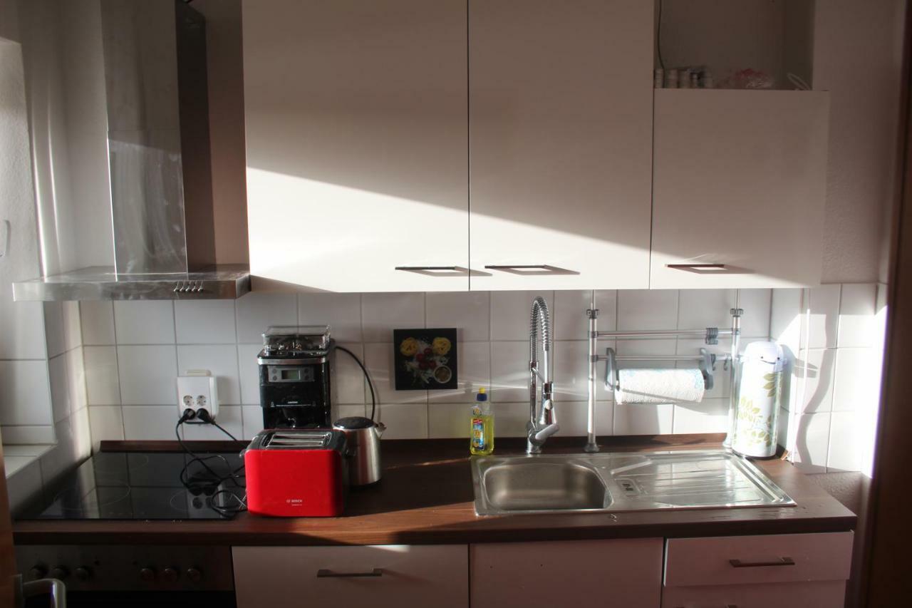 Ziebigk Appartement Deluxe デッサウ エクステリア 写真