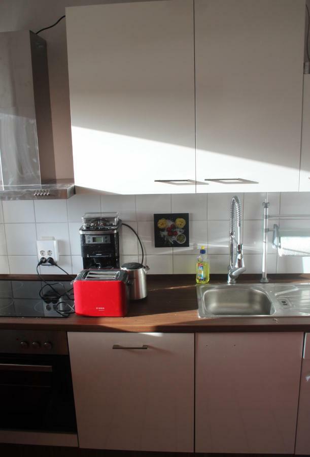 Ziebigk Appartement Deluxe デッサウ エクステリア 写真