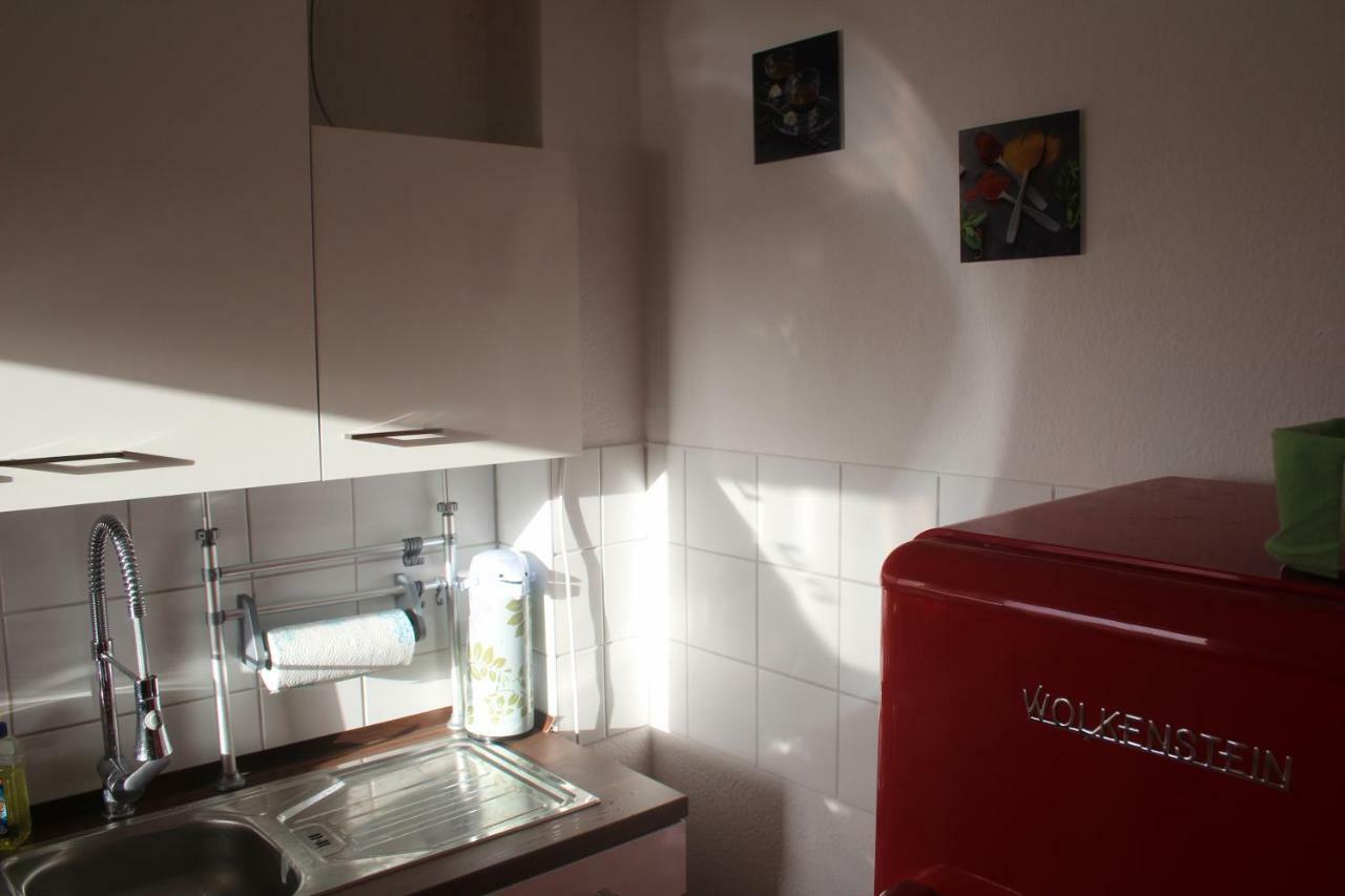 Ziebigk Appartement Deluxe デッサウ エクステリア 写真